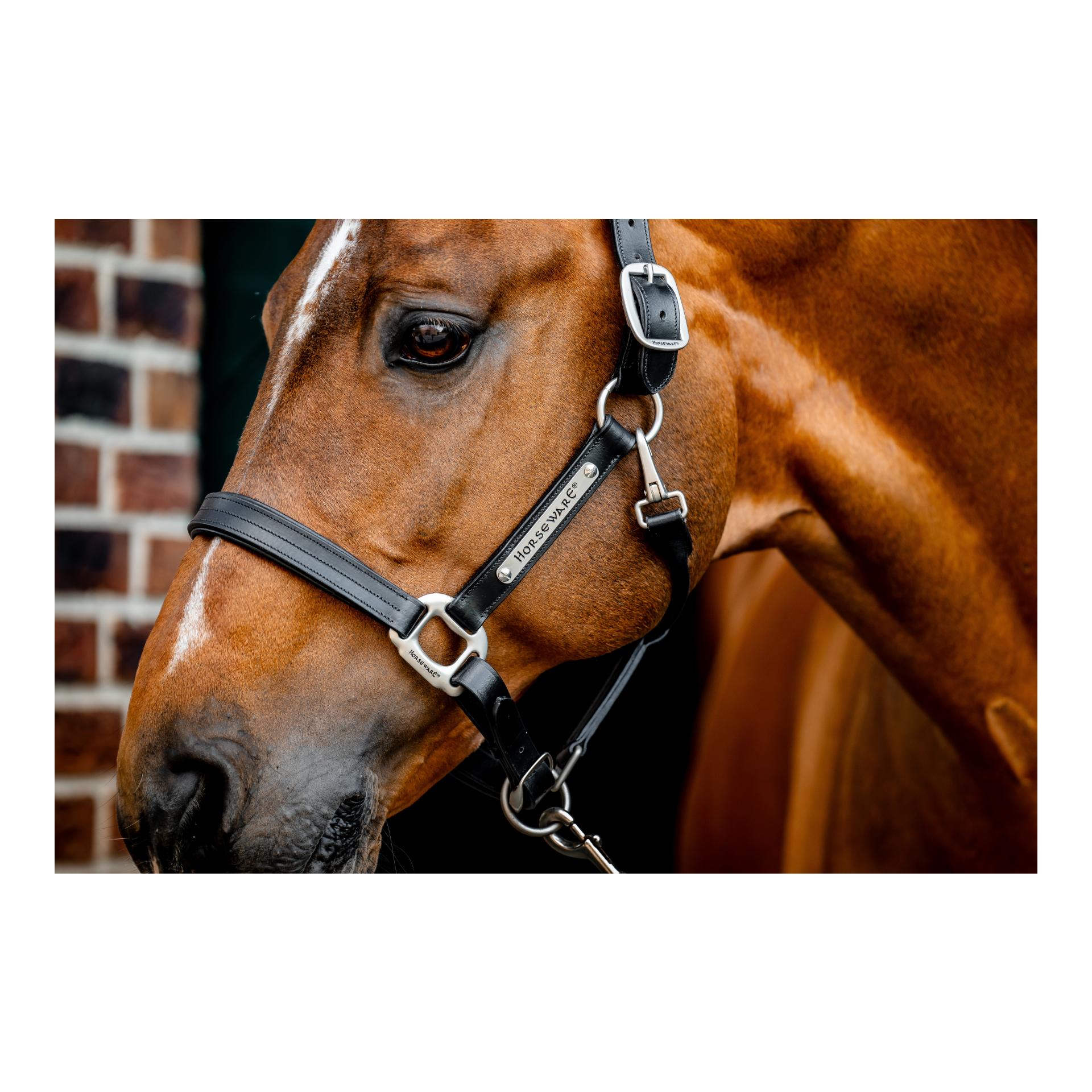 Horseware Lederhalfter Signature