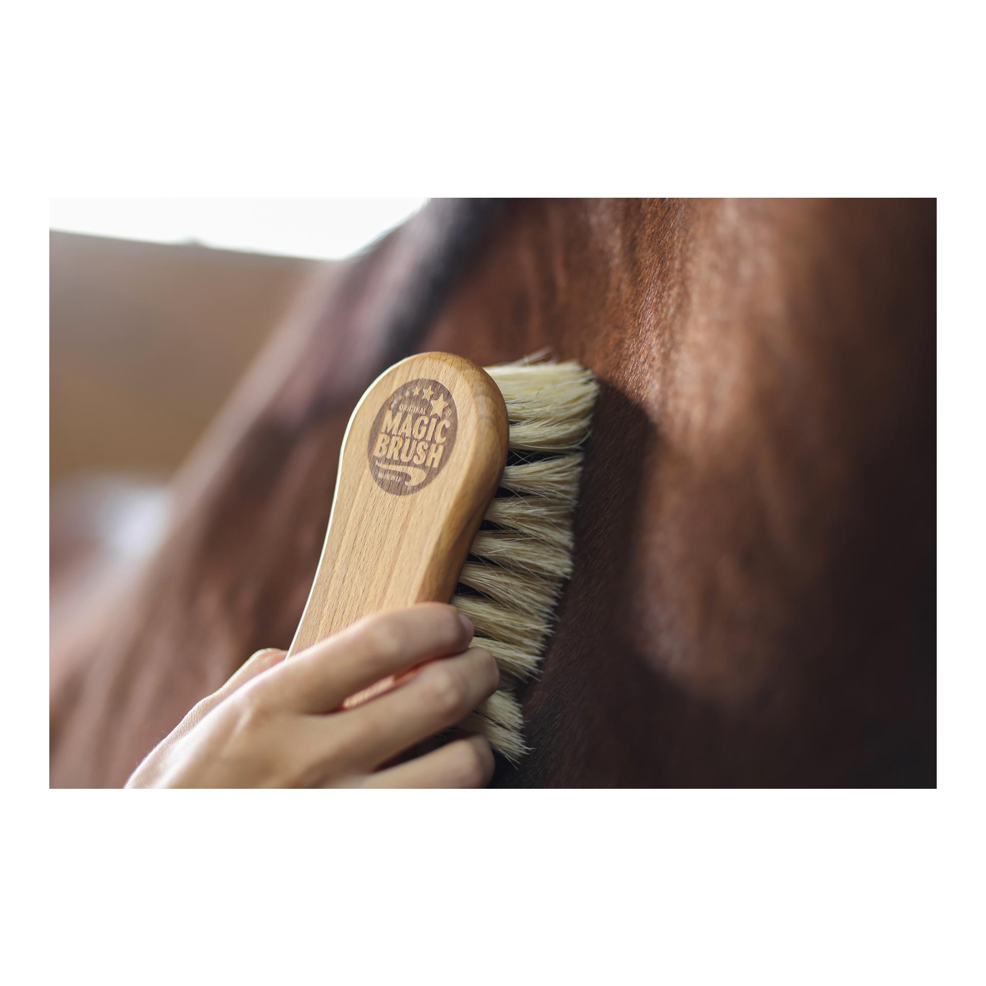 MagicBrush Natural Fibres Reinigungsbürste Soft