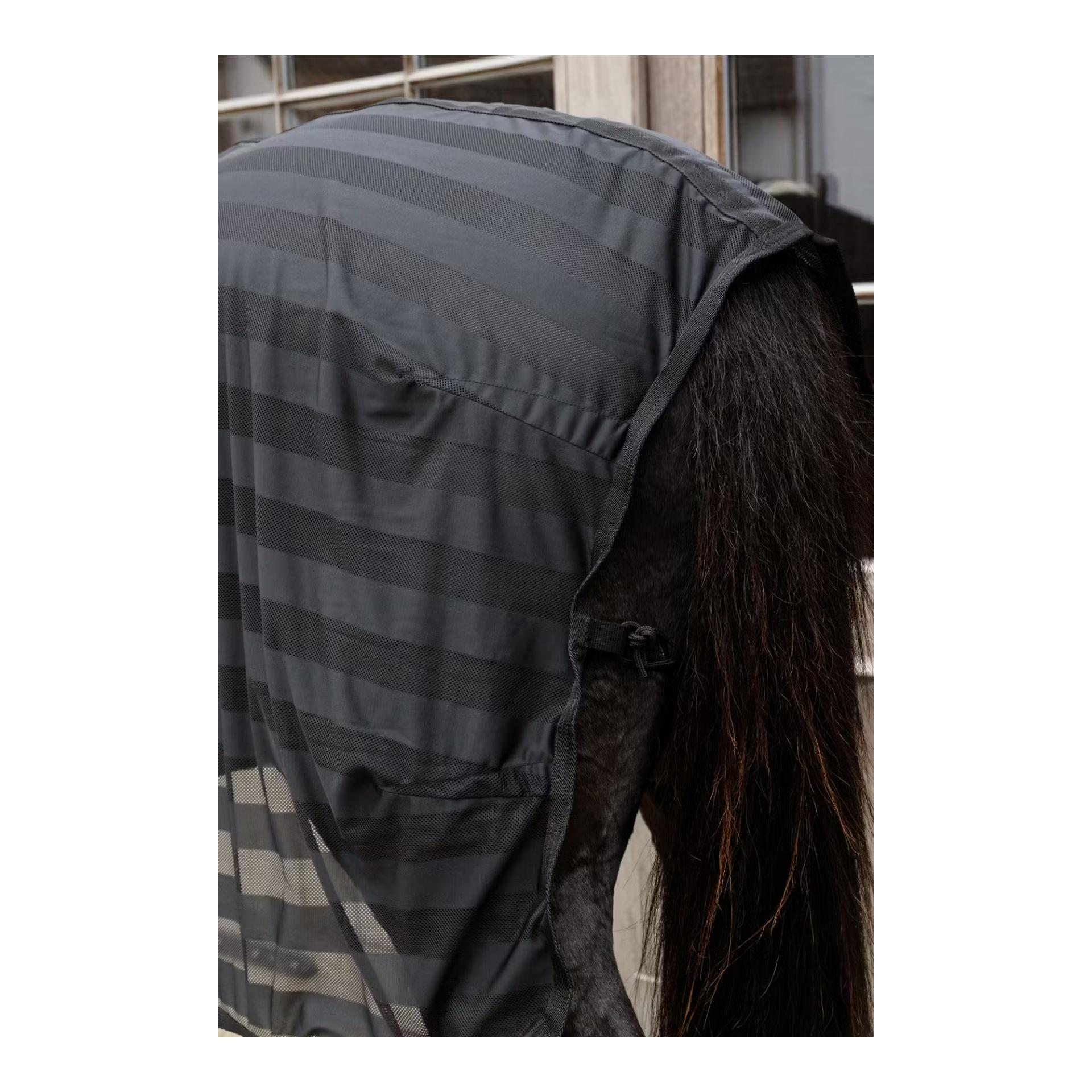 Kentucky Chemise anti-mouches légère en mesh