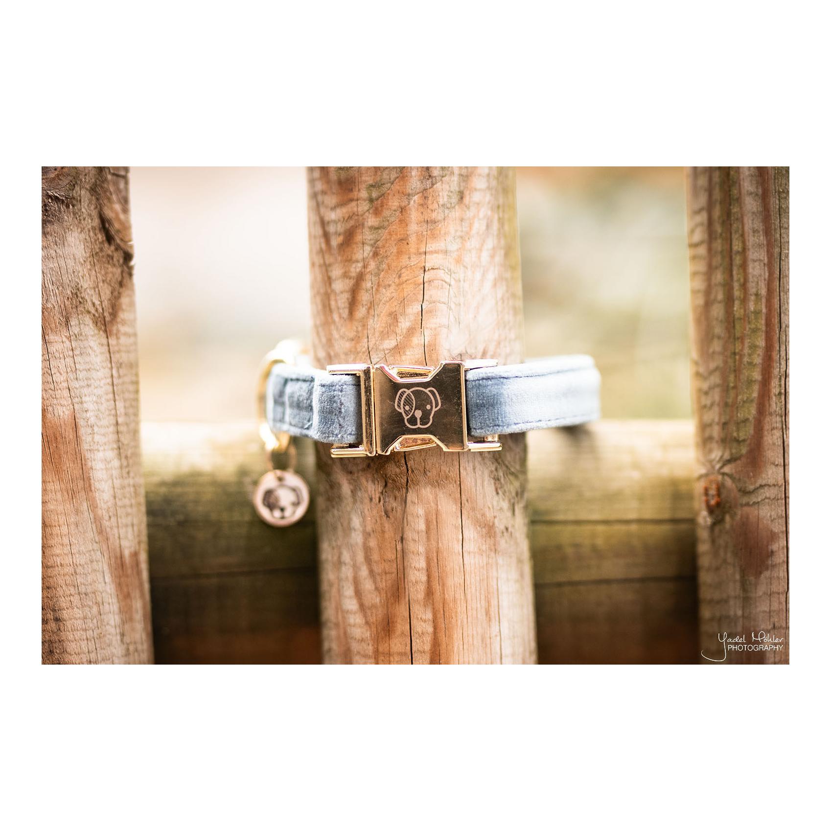 Kentucky Dogwear Collier pour chien Velvet - bleu clair