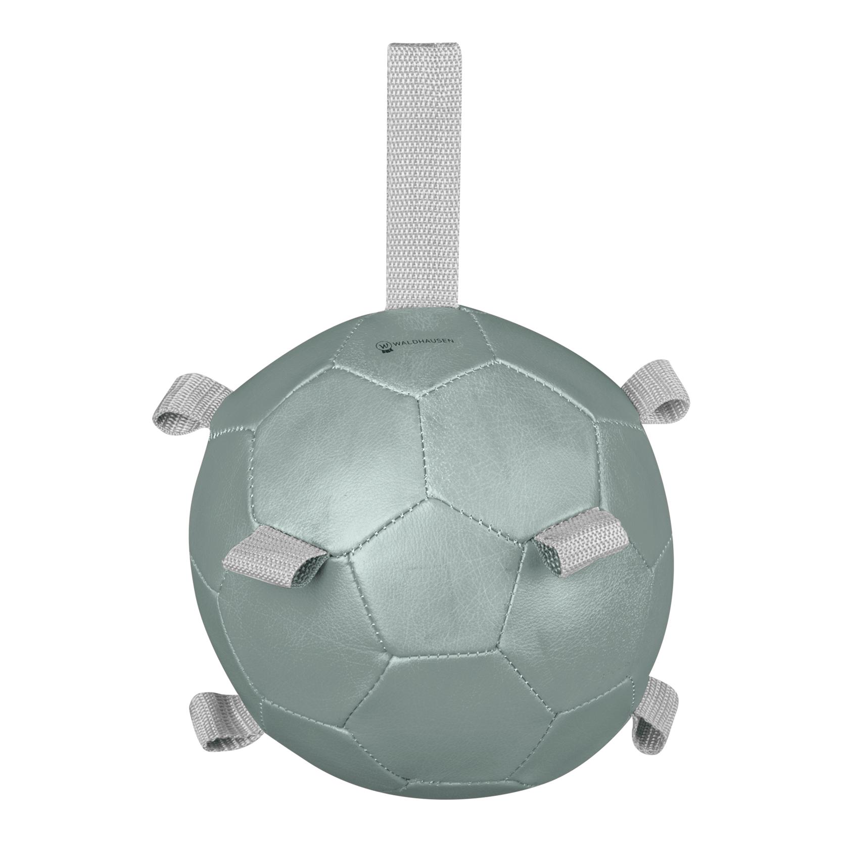 Waldhausen Karottenball