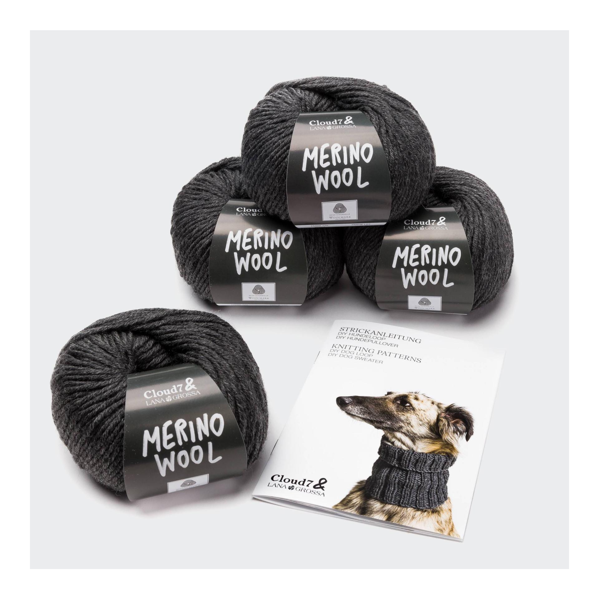 Cloud 7 DIY Strickset Hundepullover