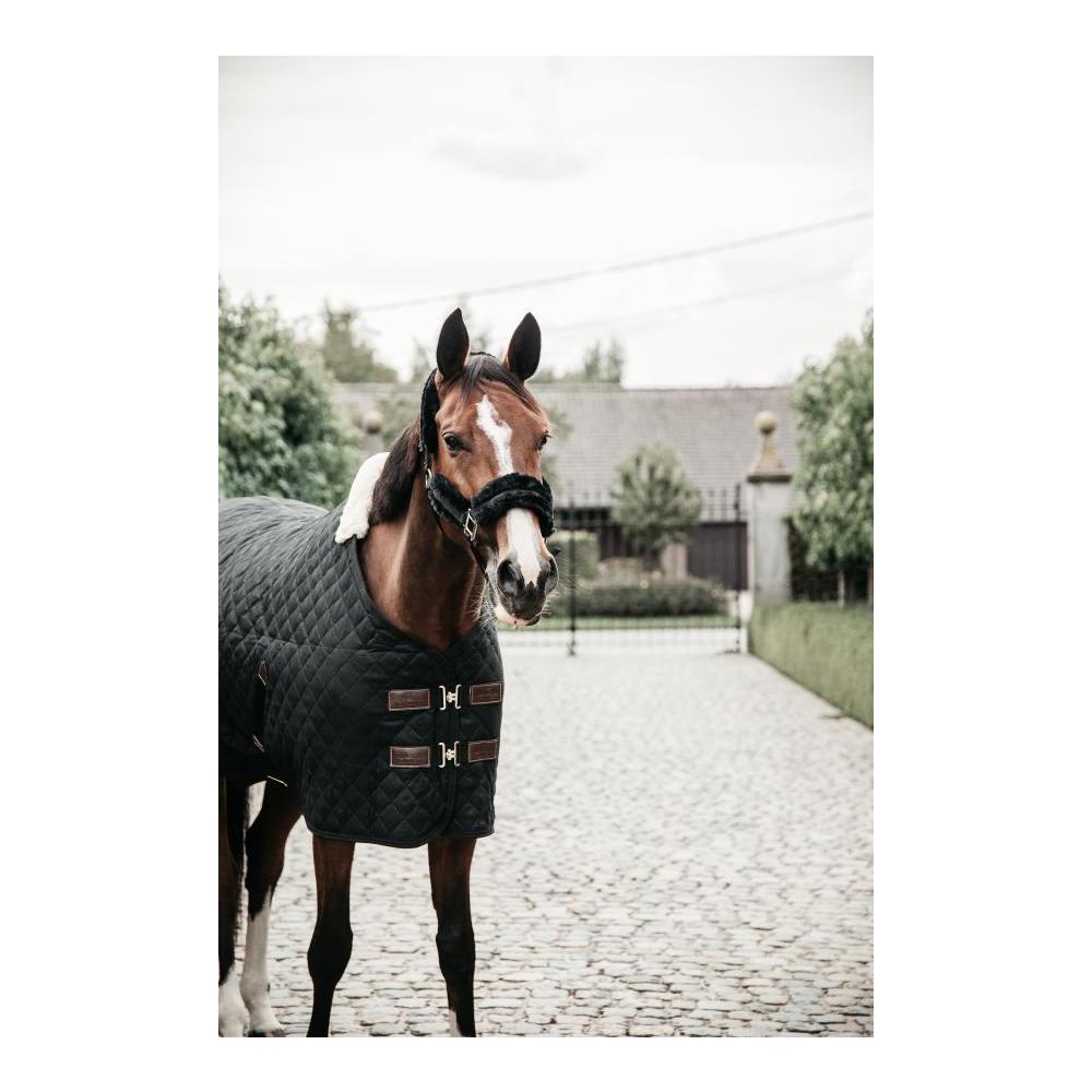 Kentucky Stalldecke 400g - schwarz