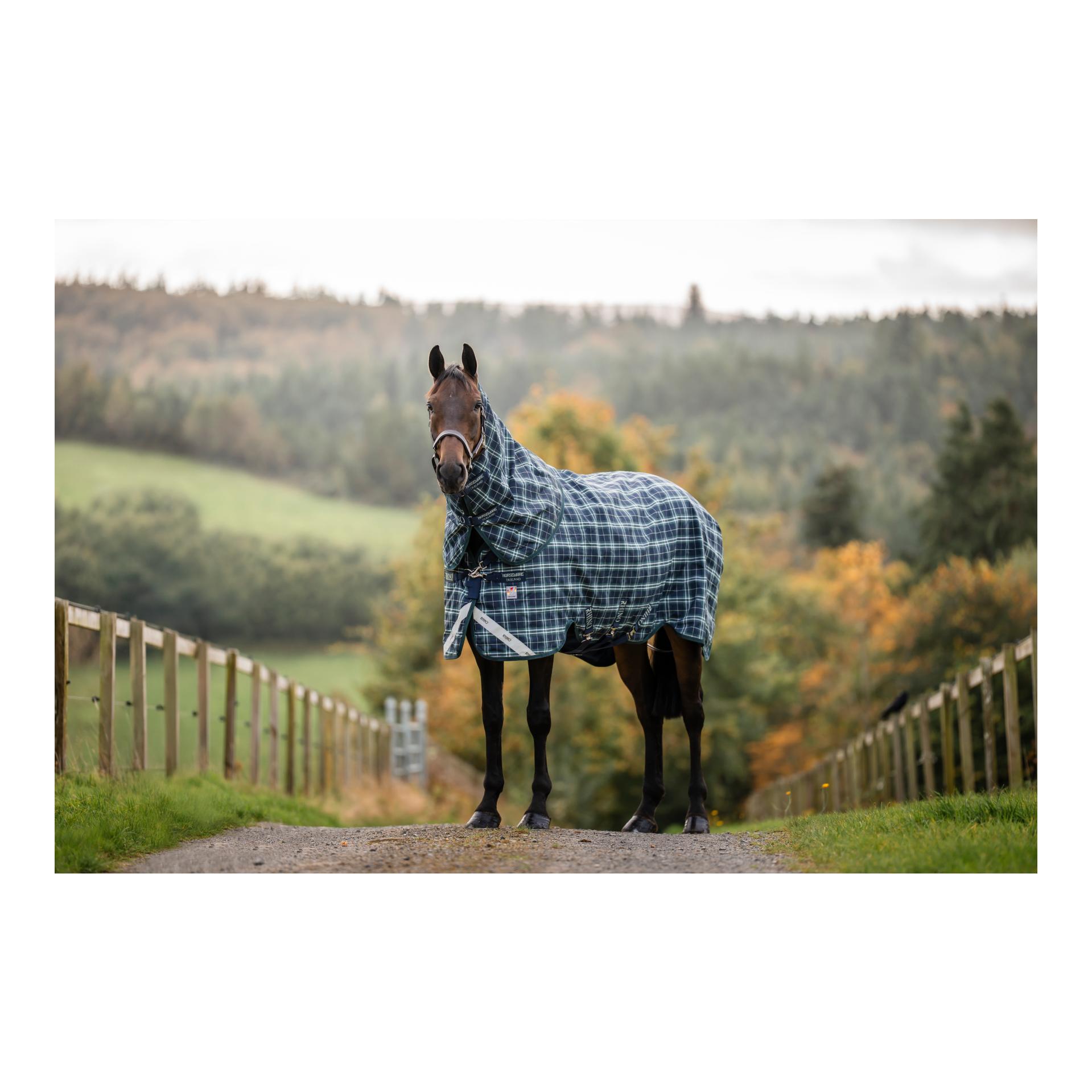 Horseware Couverture d'extérieur Weidedecke Rhino Plus 250 g VL