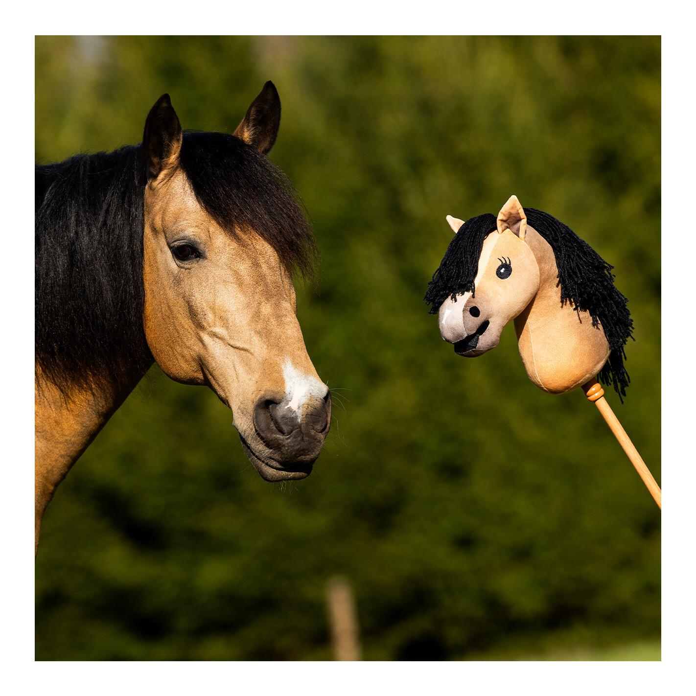 QHP Nalanta Hobby horse Gaio