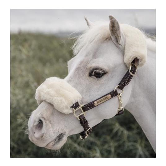 Kentucky Pony Lederhalfter - braun