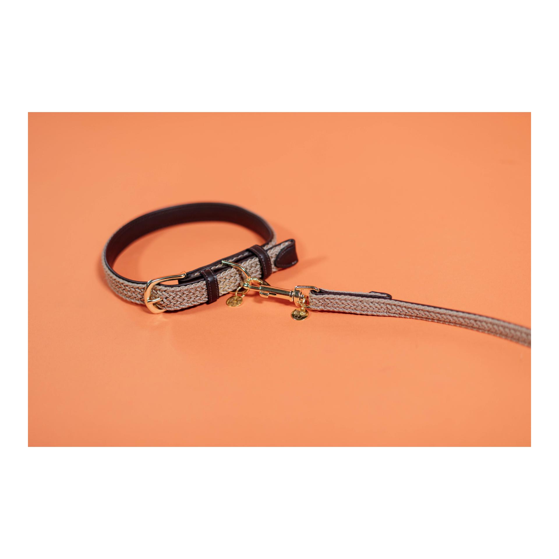 Kentucky Dogwear Collier pour chien en nylon tressé