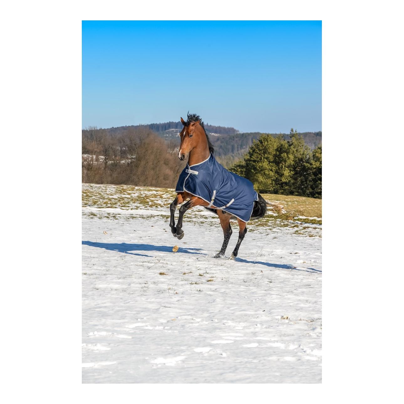 Bucas Couverture d'hiver FREEDOM Turnout 300g - bleu marine/argent