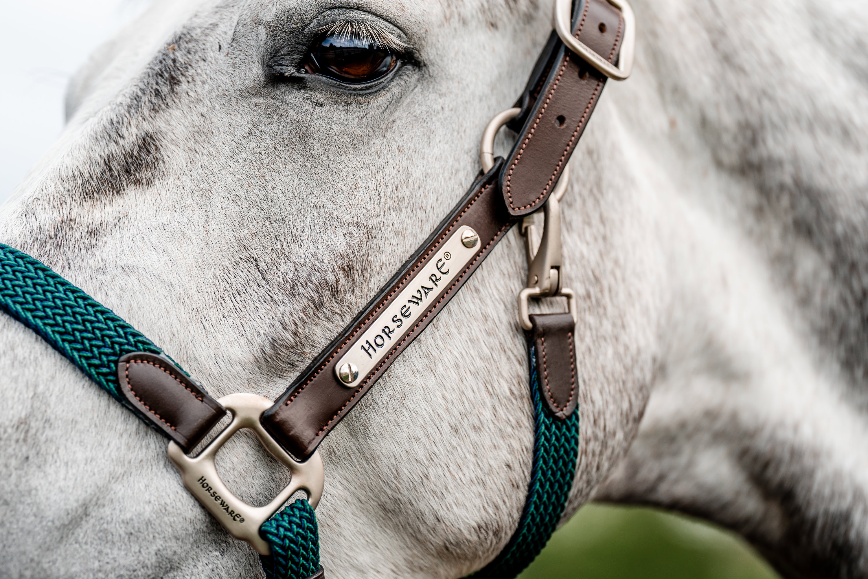 Horseware Halfter Signature Braided