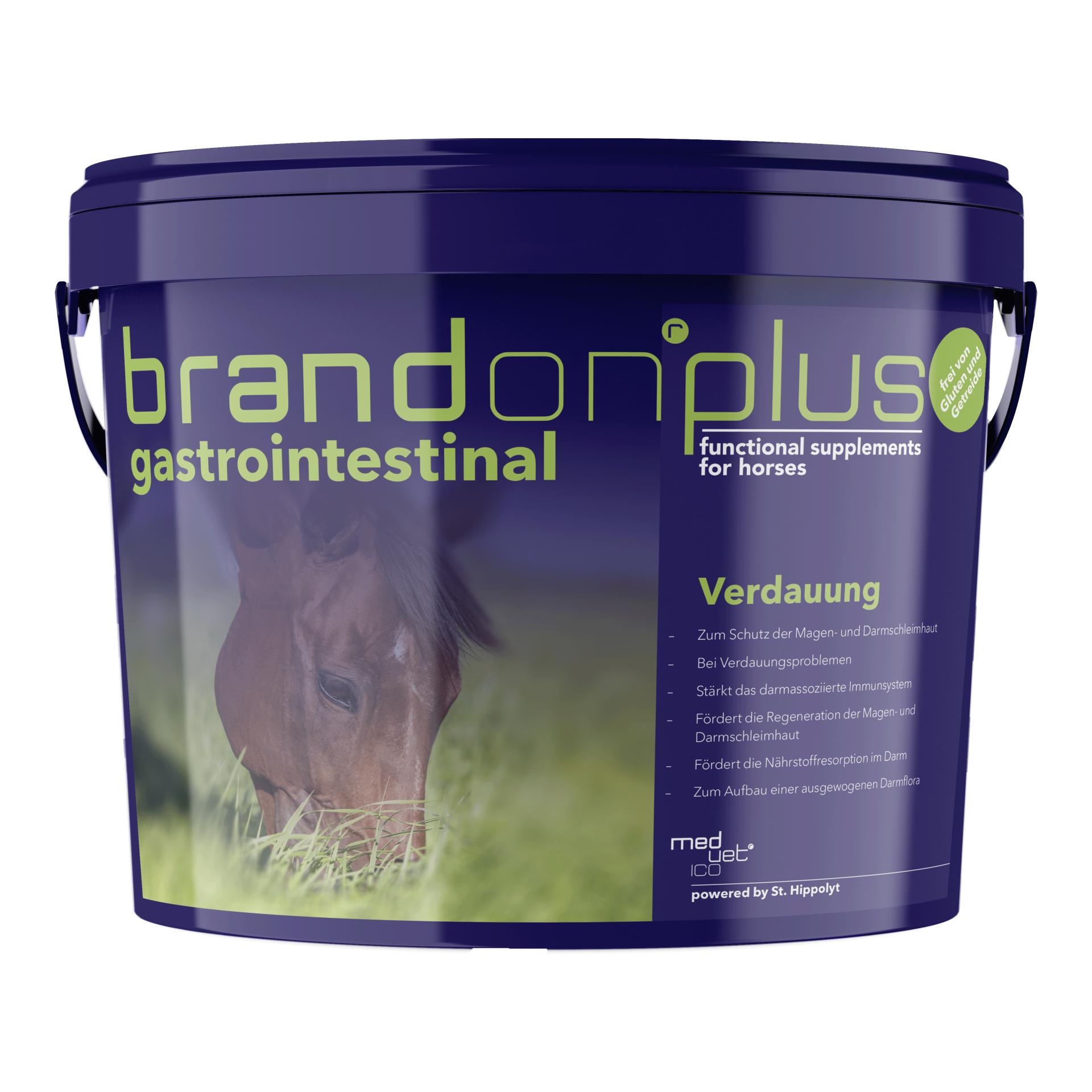 Brandon Plus gastrointestinal