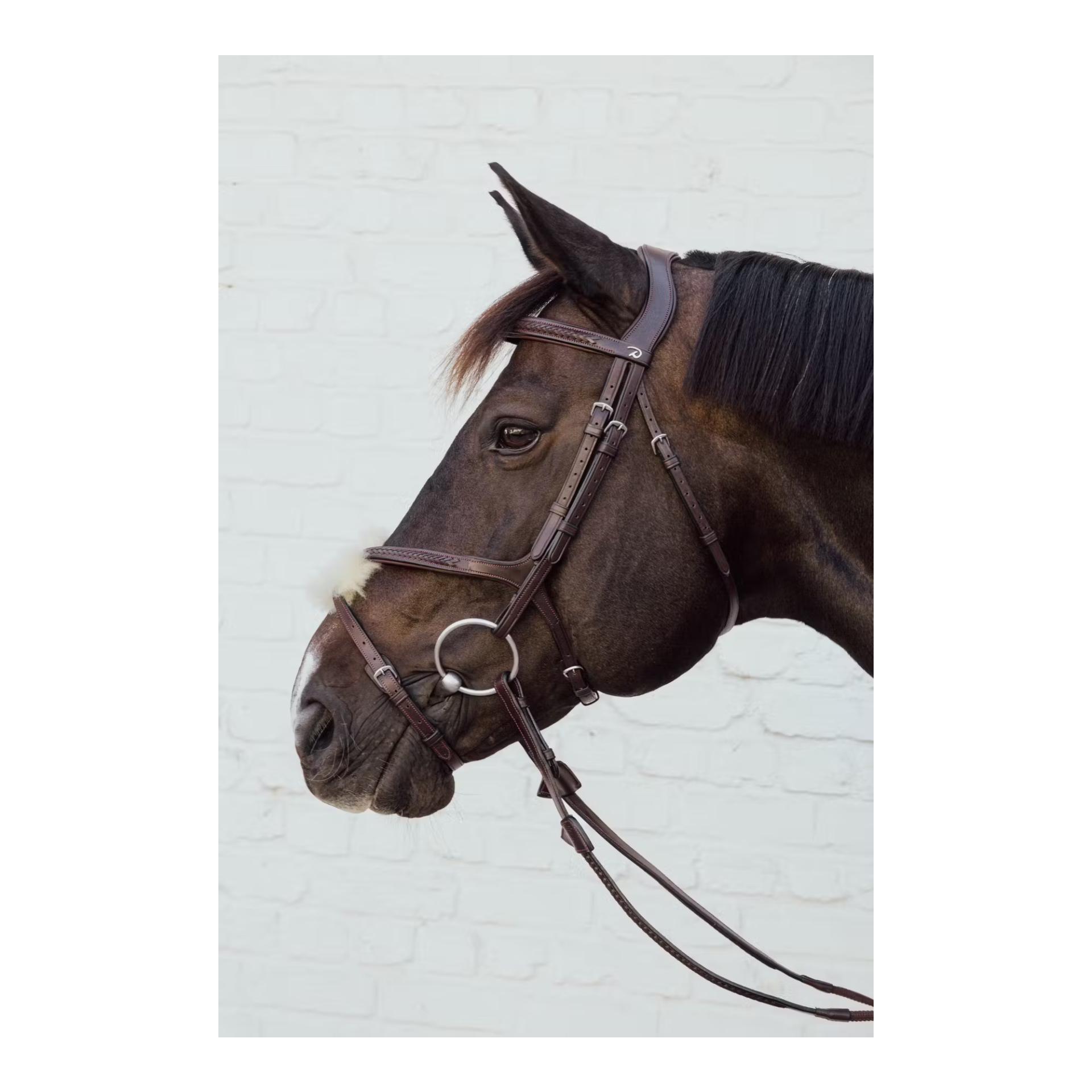 Dy'on Plaited Figure 8 Noseband