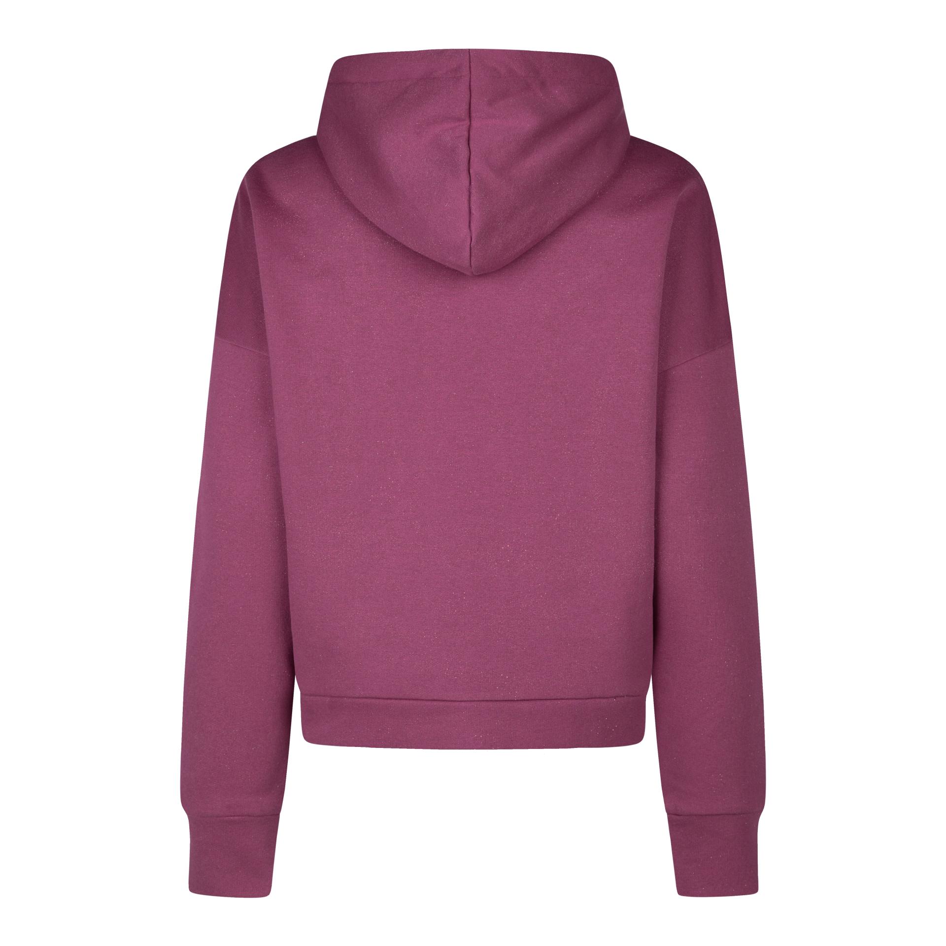 Eskadron Sweat à capuche Sparkle Heritage 25/26