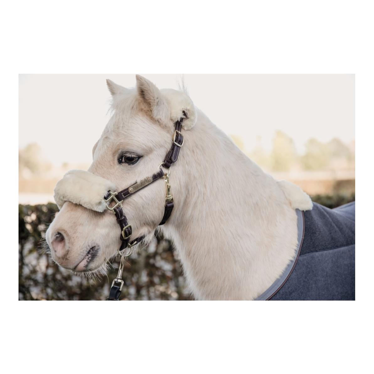 Kentucky Pony Lederhalfter - braun