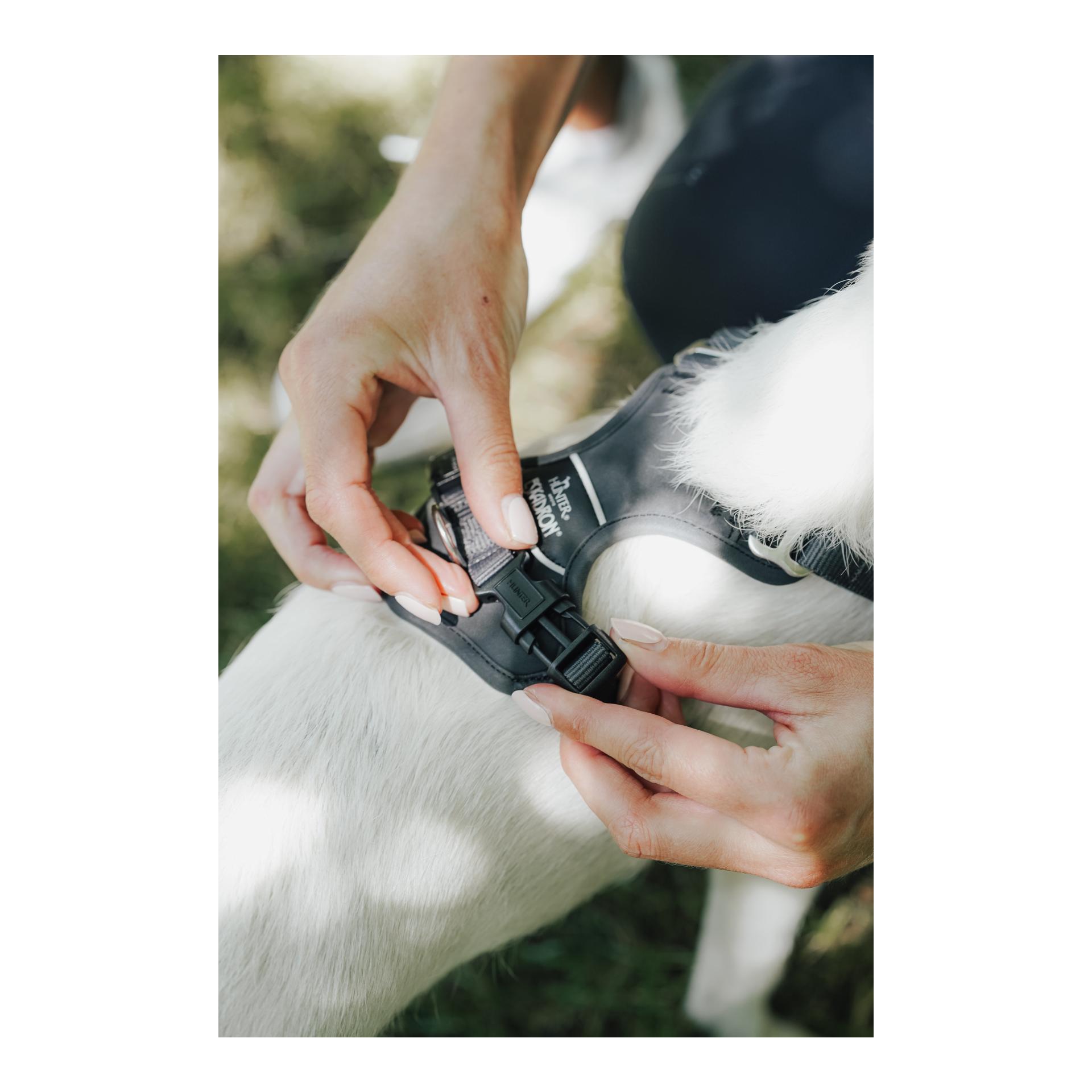 Eskadron Harnais pour chien MOTION REFLECT
