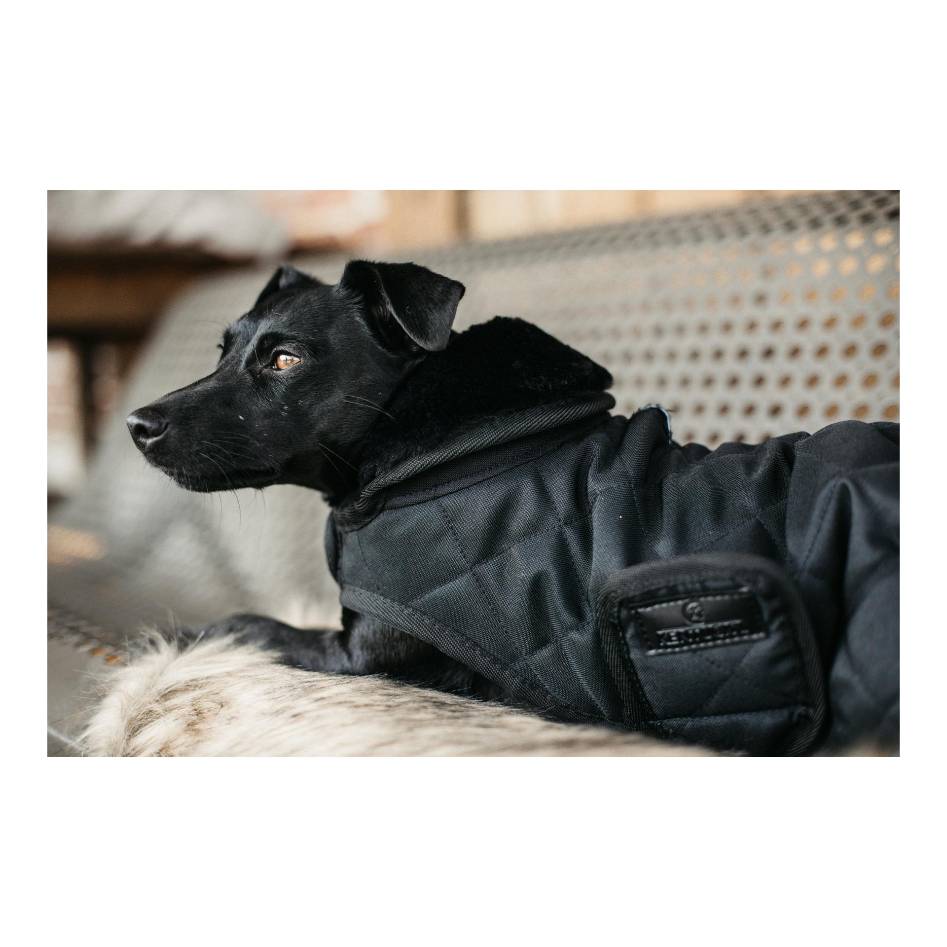 Kentucky Dogwear Hundemantel Original - black/black