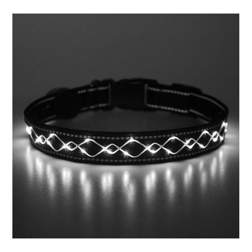 Animal Light Leucht-Hundehalsband "Beauty"