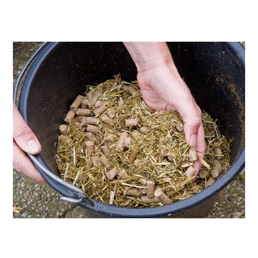 Pavo Pferdefutter DailyPlus