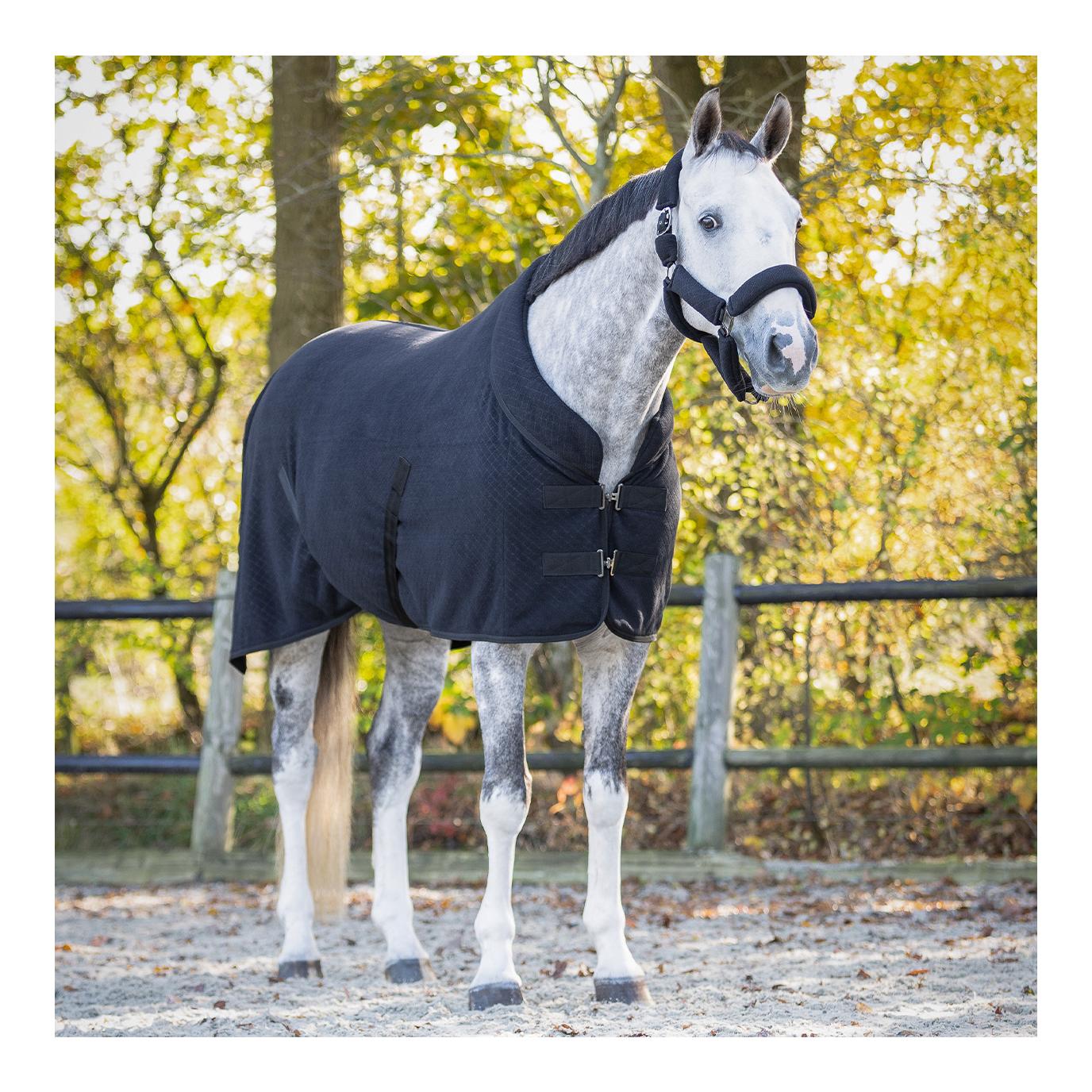 QHP Showdecke Zahra