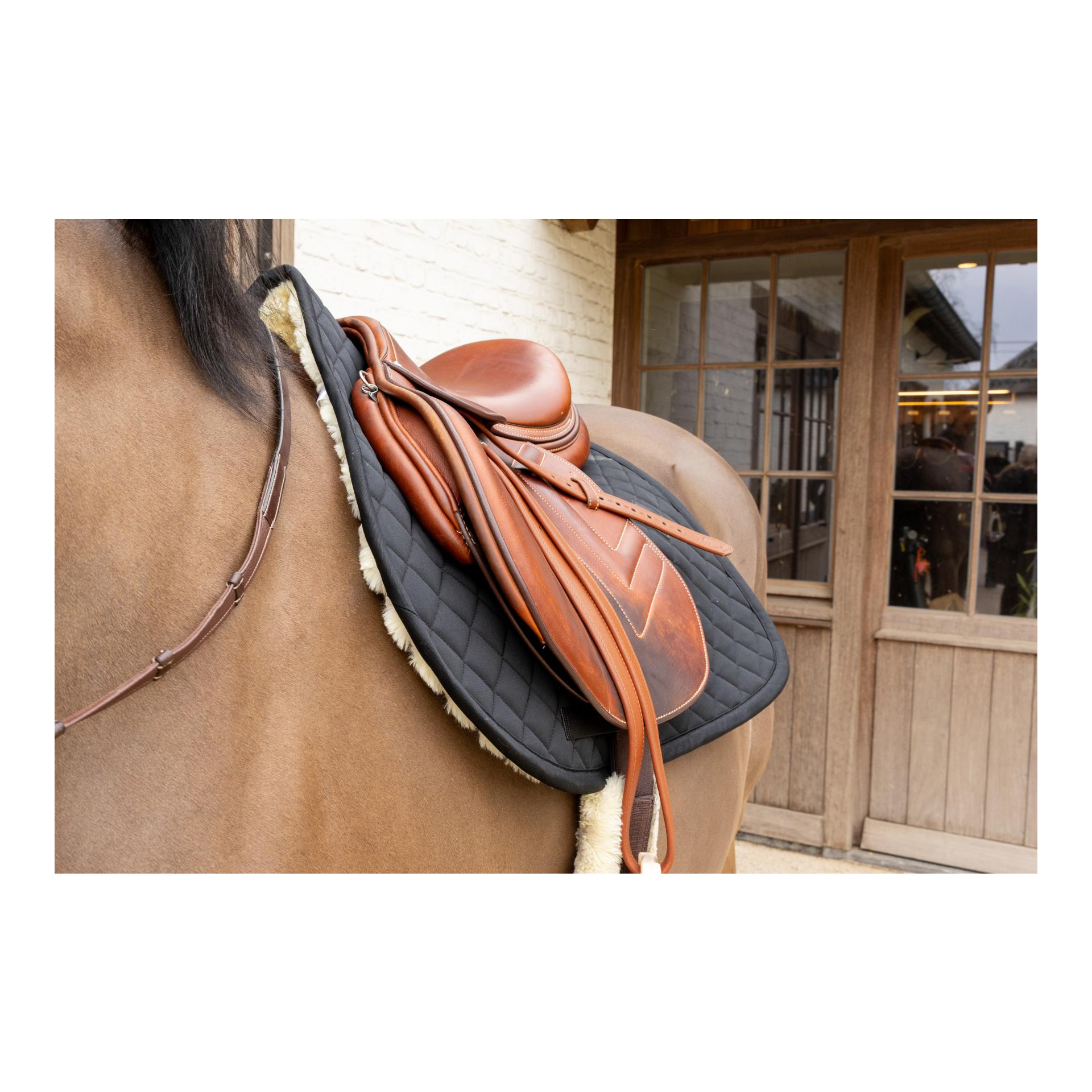 Kentucky Schabracke mit Lammfell Diamand Skin Friendly