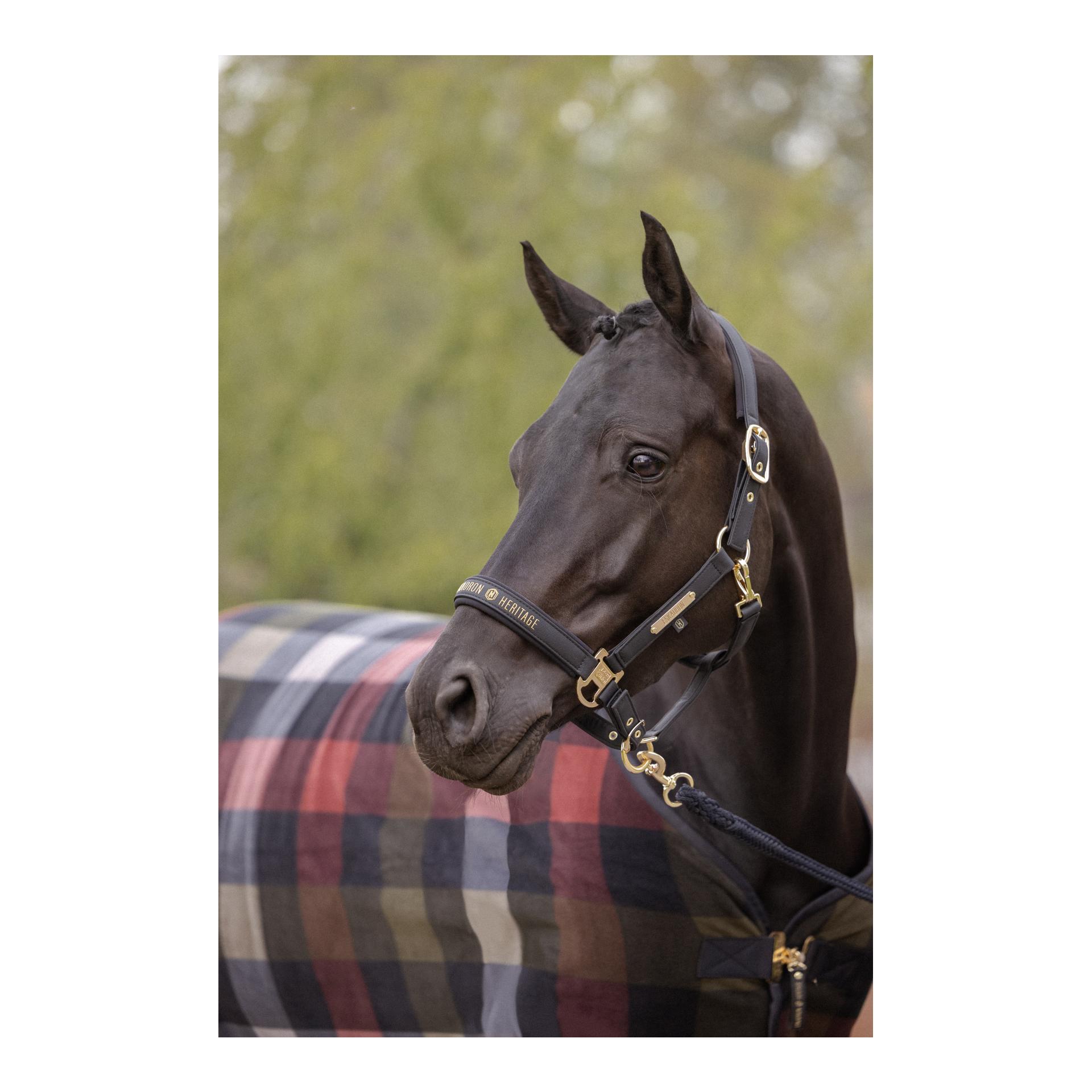 Eskadron Fleece-Abschwitzdecke Check Heritage 26/27