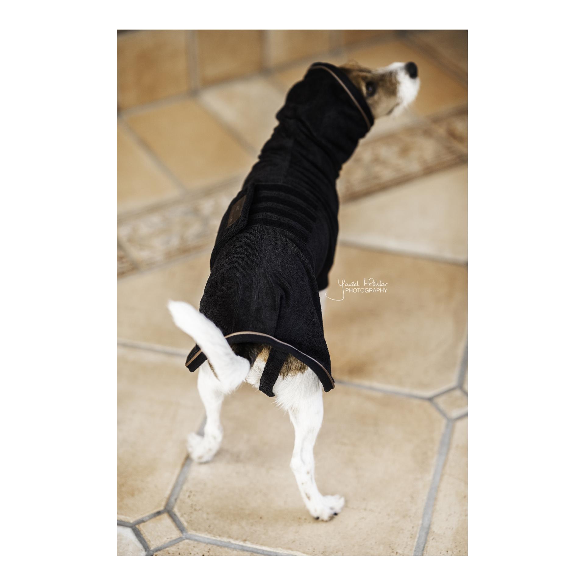 Kentucky Dogwear Manteau pour chien Dog Coat Towel