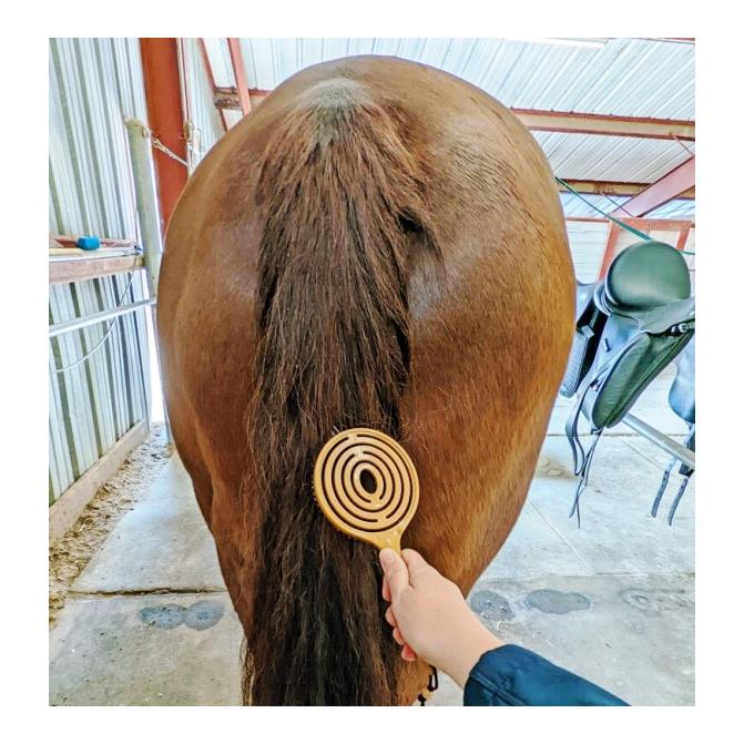 equitrade Bürste Epona 'Queens Brush'