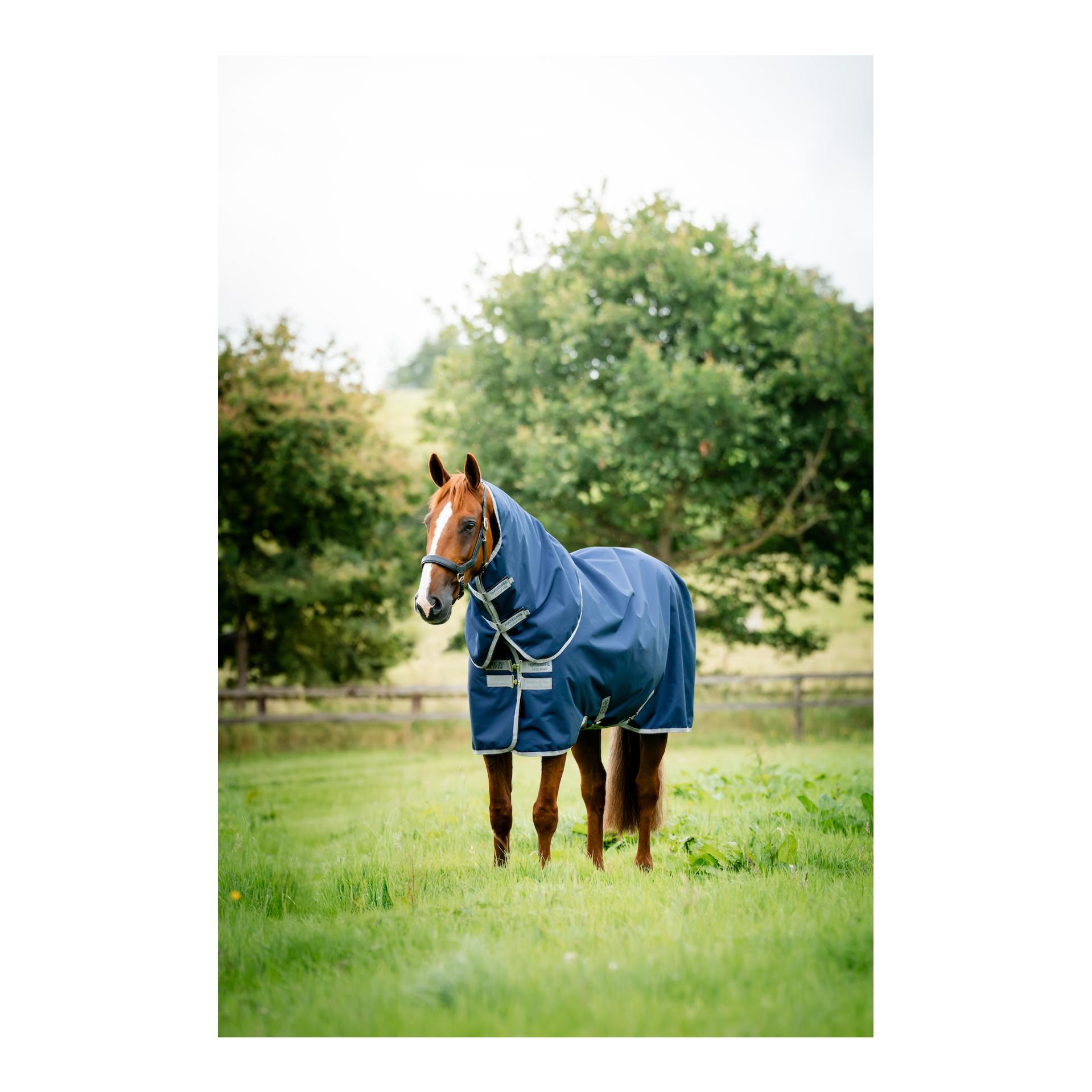 Horseware Weidedecke Amigo Ripstop 900 Plus 100g