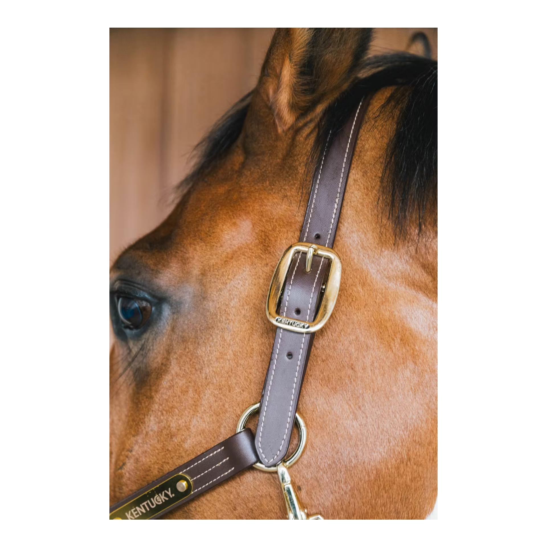 Kentucky Holster en cuir Wellington
