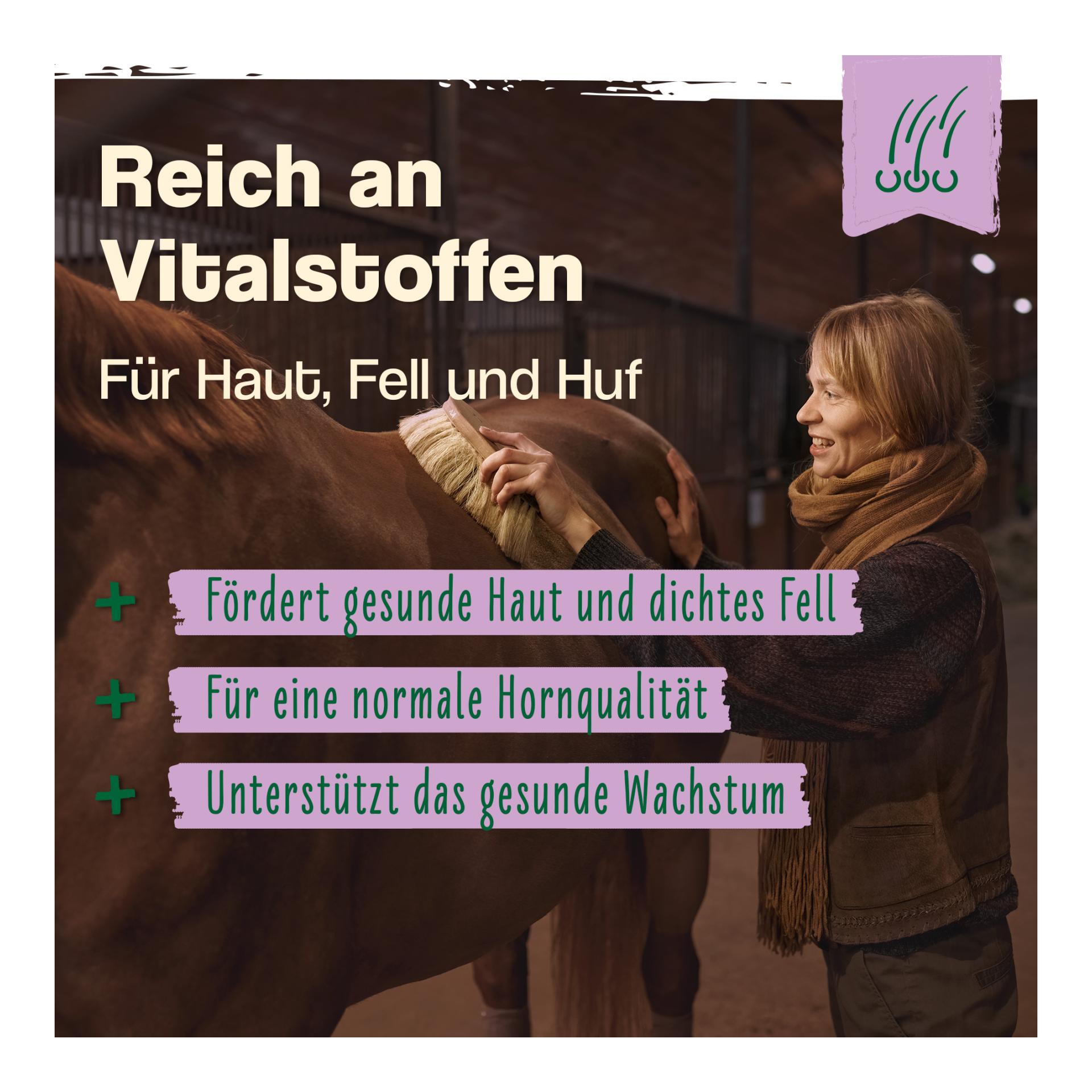 IdaPlus Bierhefe Bt - Futterergänzung für glänzendes Fell & kräftige Haut