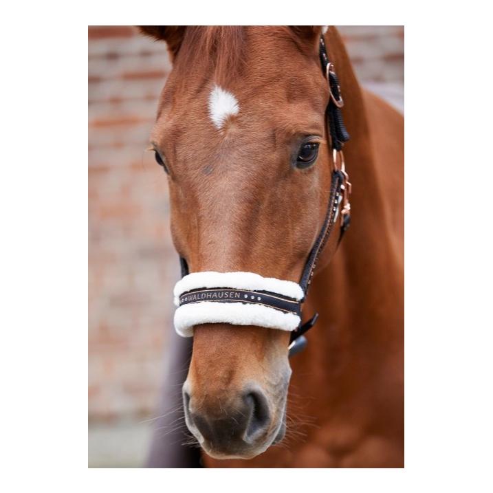Waldhausen Halfter Elegant