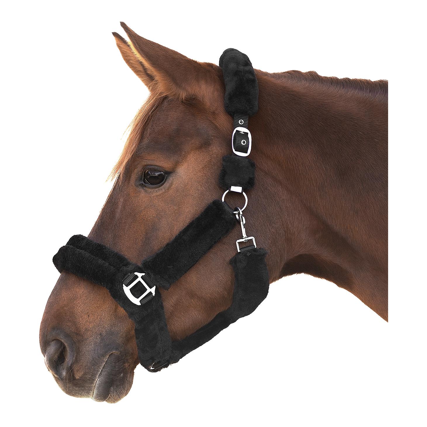 Waldhausen Halfter Cozy