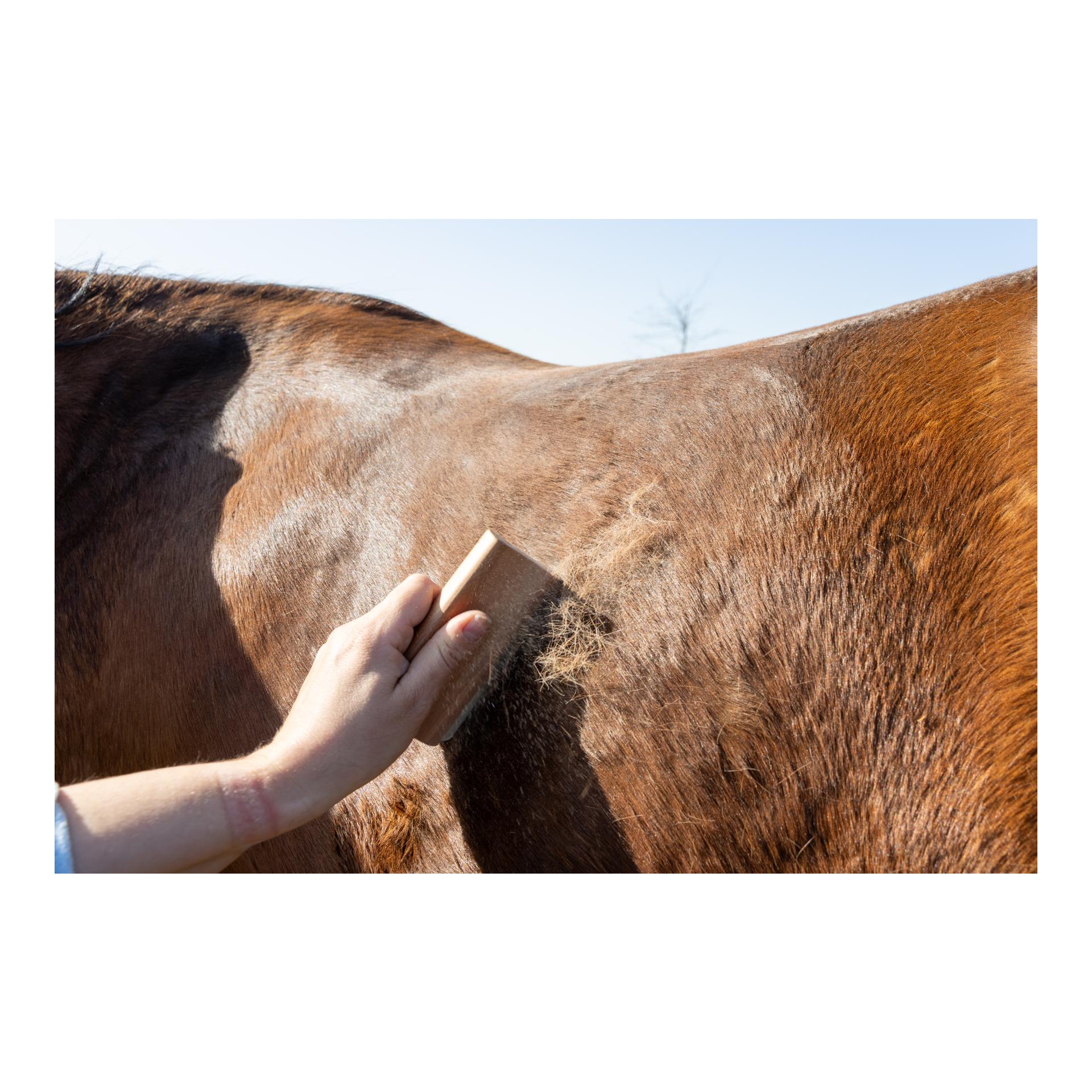 Grooming Deluxe Easy Grooming Fellwechselbürste