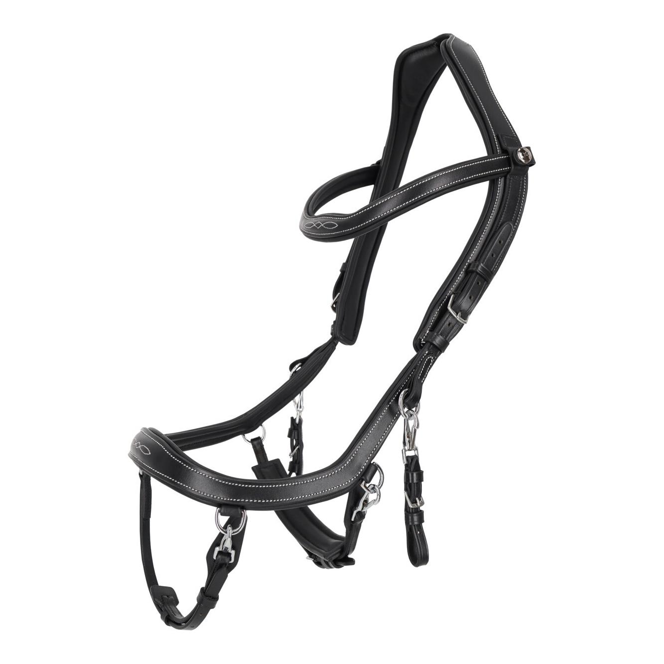 PresTeq Zaumzeug FaySport Classic
