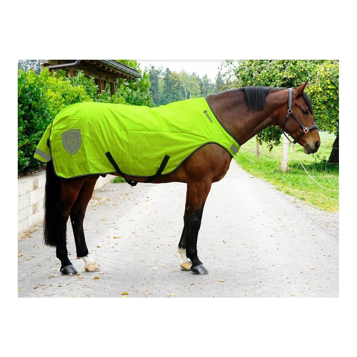 Stallone Walker Rug 100 g