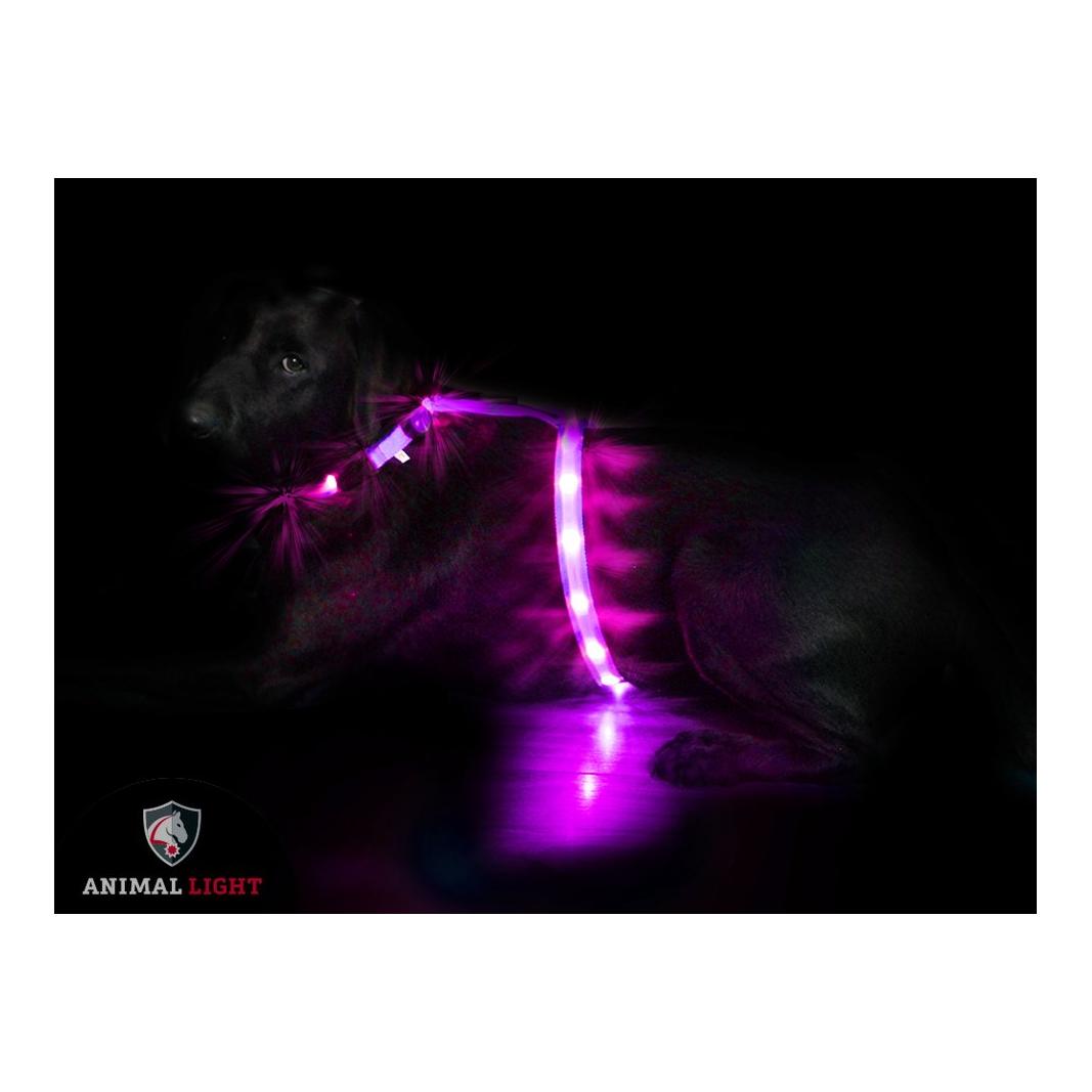 Animal Light Harnais lumineux "Ninja" - rose/rose