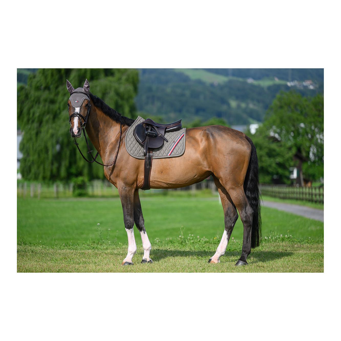 Tommy Hilfiger Equestrian Chabraque de saut d'obstacles Stanford