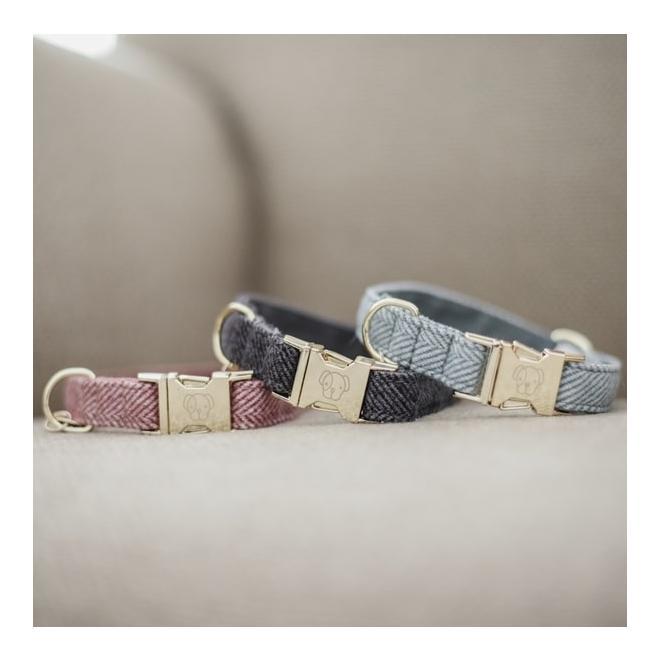 Kentucky Dogwear Hundehalsband Wool - grau