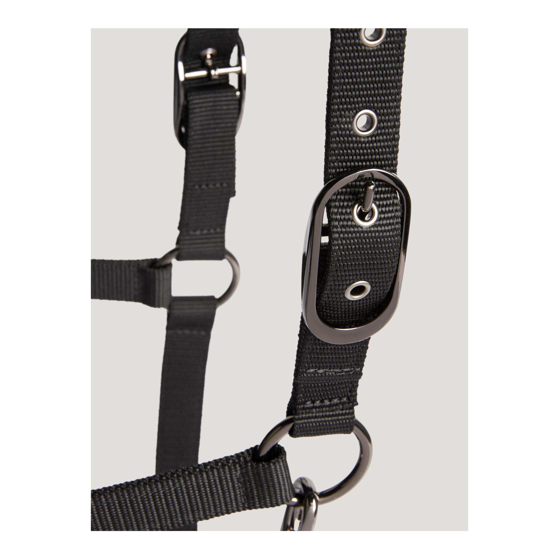 Tommy Hilfiger Equestrian Ensemble licol et longe Yale Shine