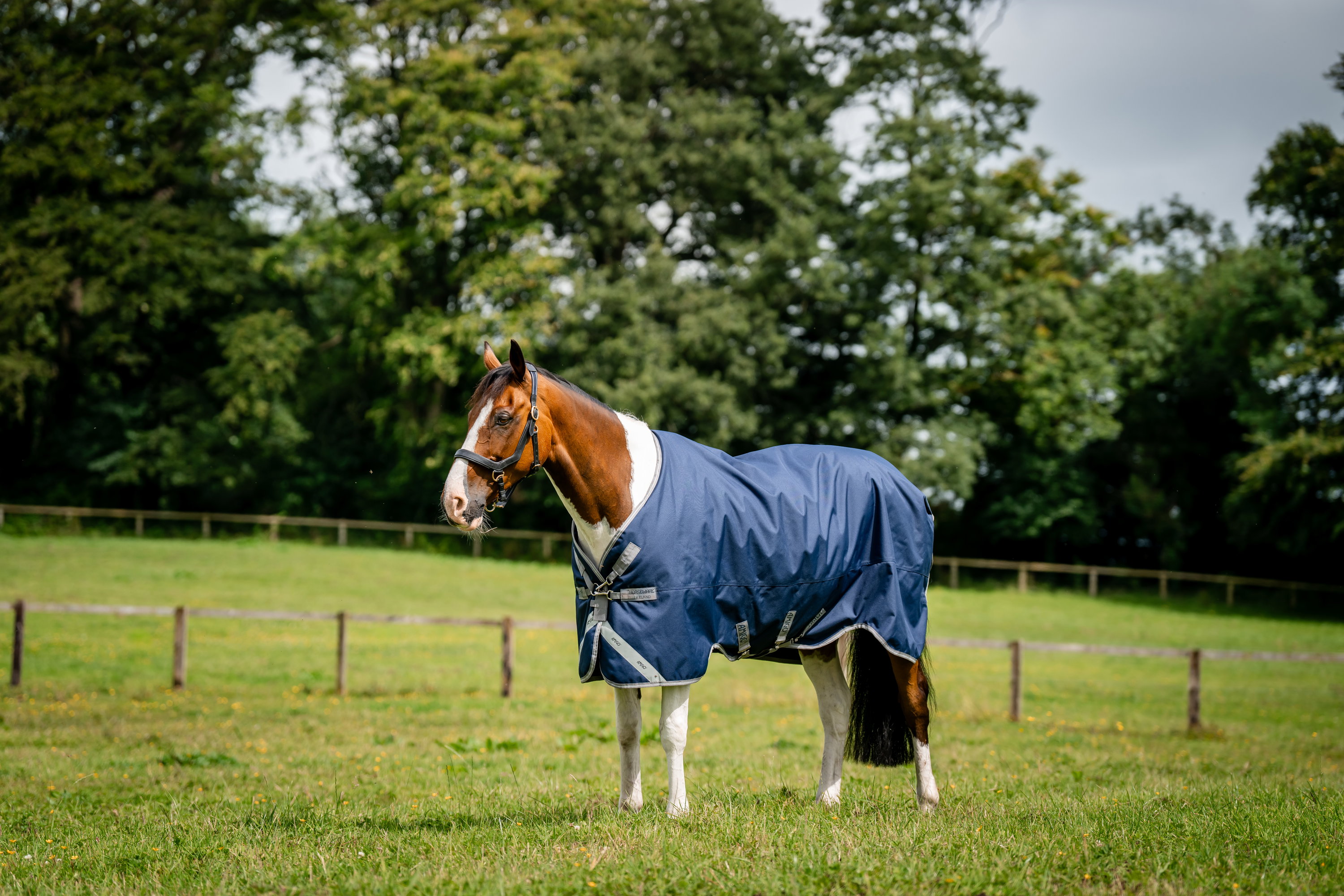 Horseware Couverture d'extérieur Amigo® 1200D 100 g