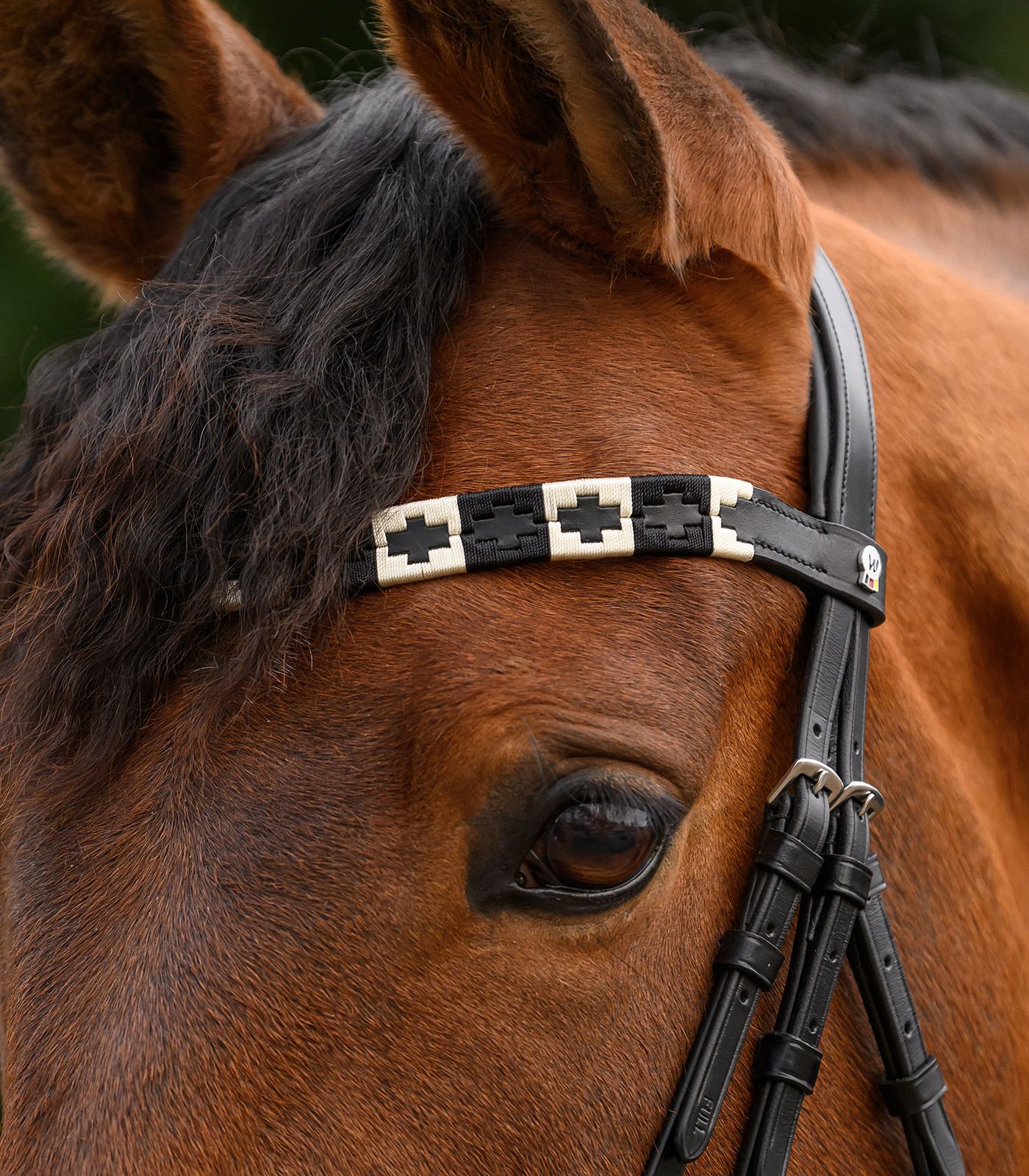 Waldhausen Stirnband Polo X-Line