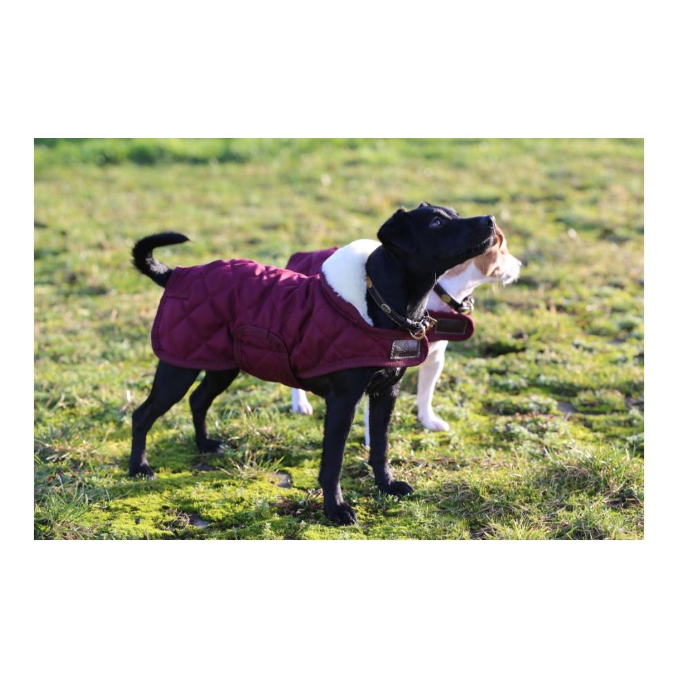 Kentucky Dogwear Manteau pour chien Original - bordeaux