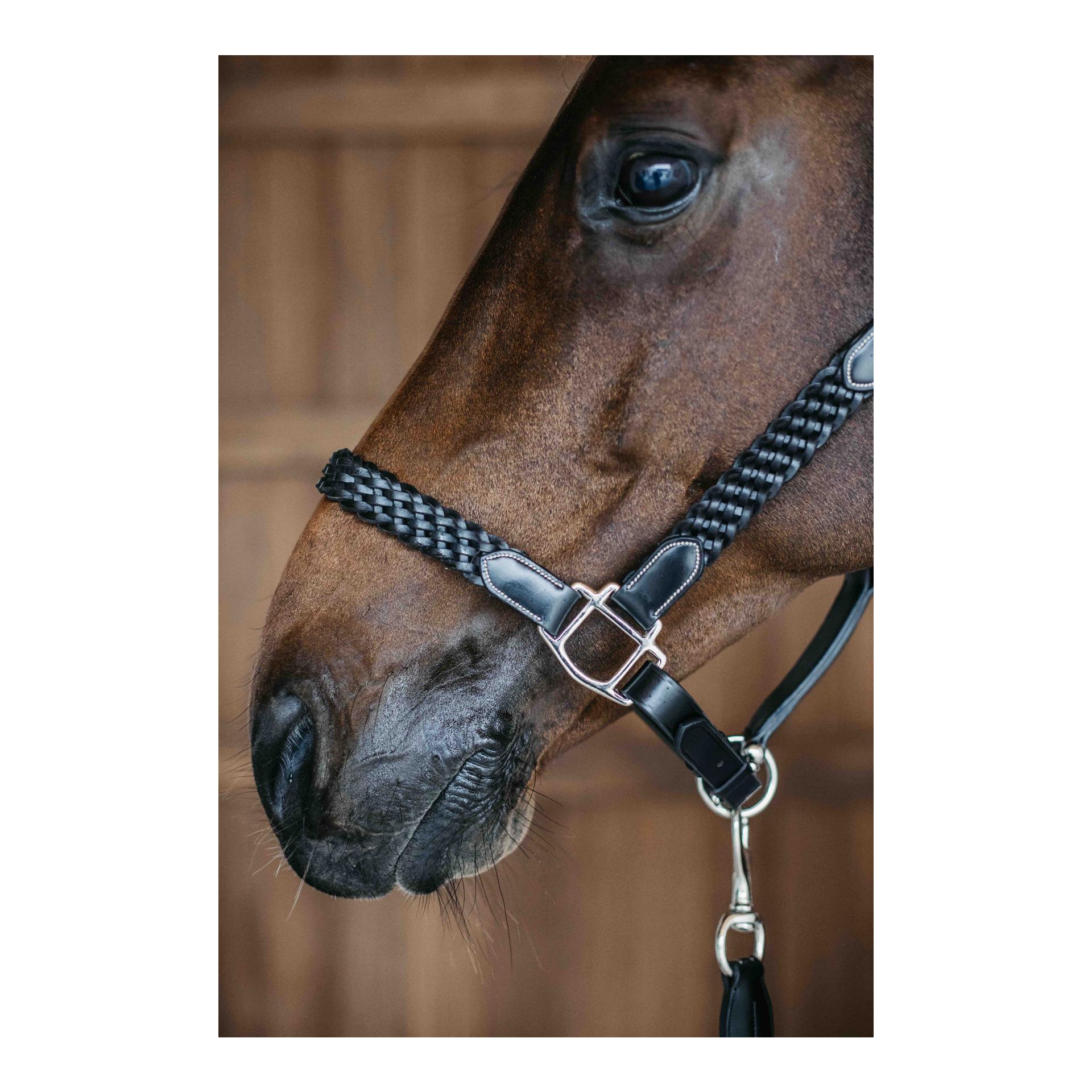 Halfter Plaited