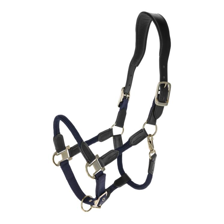 Covalliero Licol Cordano Deluxe P/E 2026