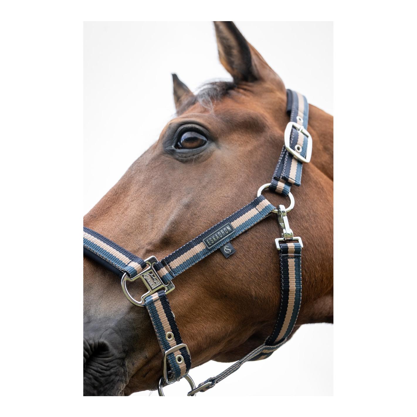 Eskadron Licol DOUBLE PIN Classic Sports