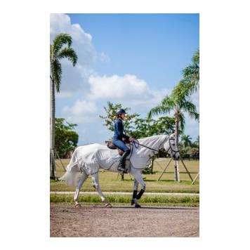 Horseware Ausreitdecke Amigo