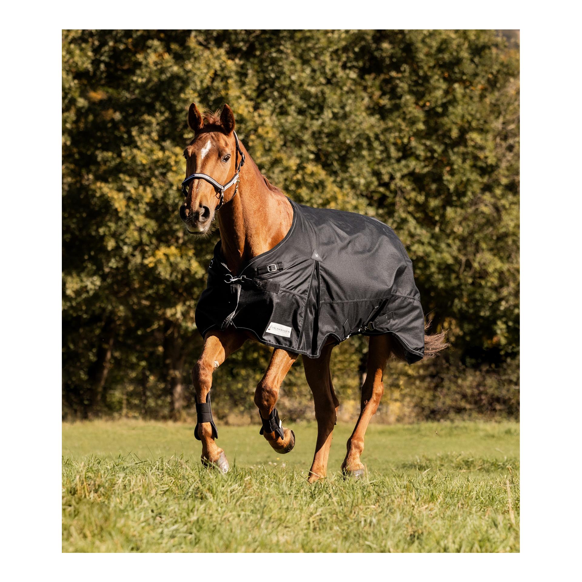 Waldhausen Weidedecke Scandic, 50g