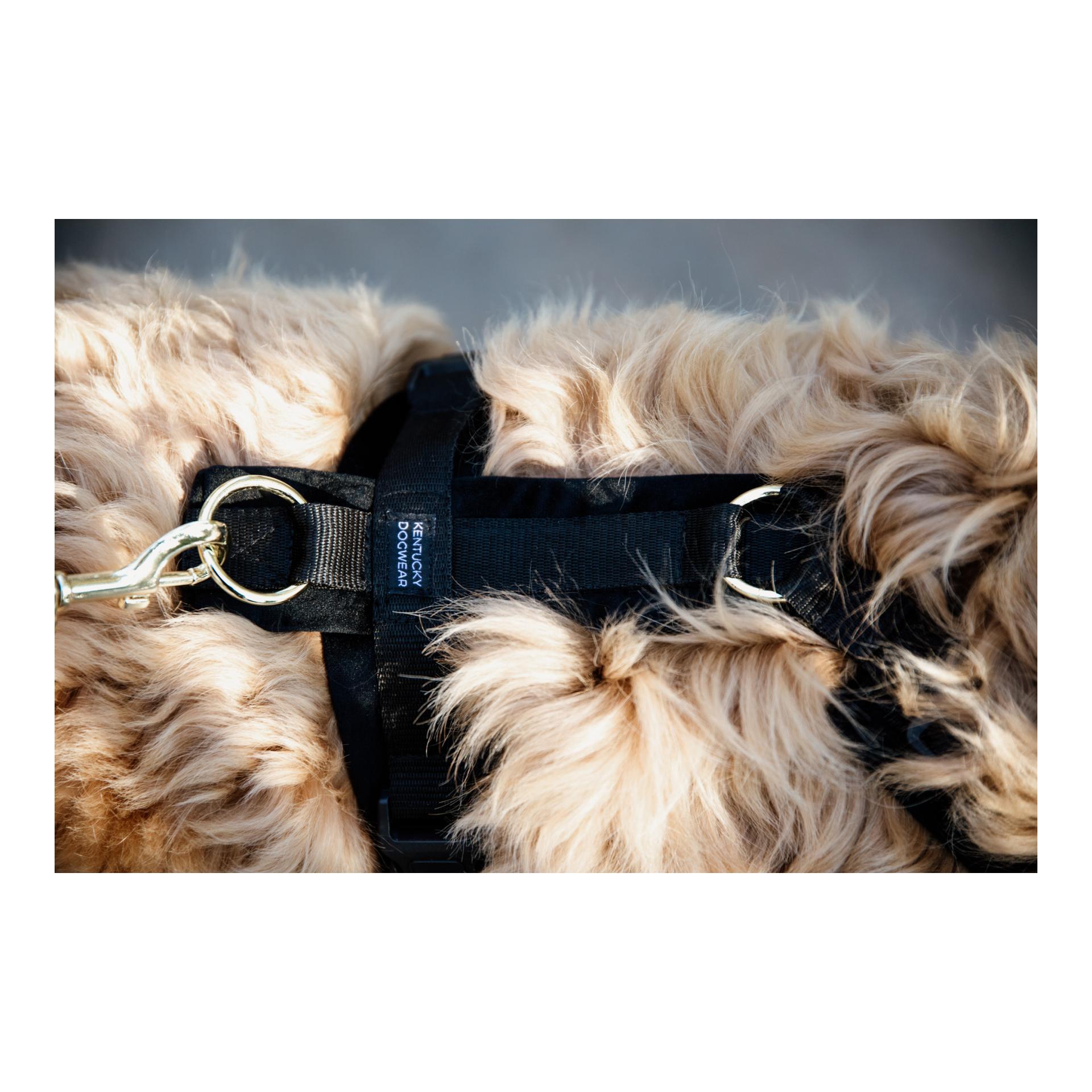 Kentucky Dogwear Harnais pour chien Active Velvet