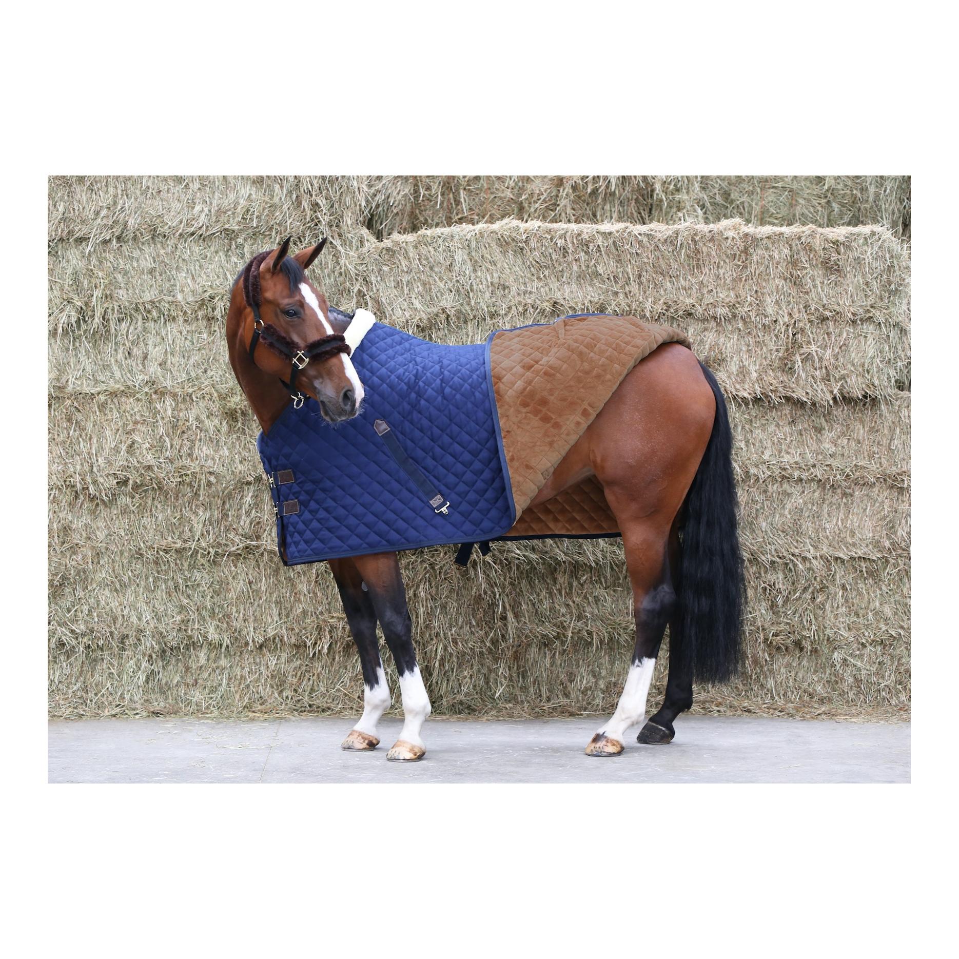 Kentucky Stalldecke 400g - marine