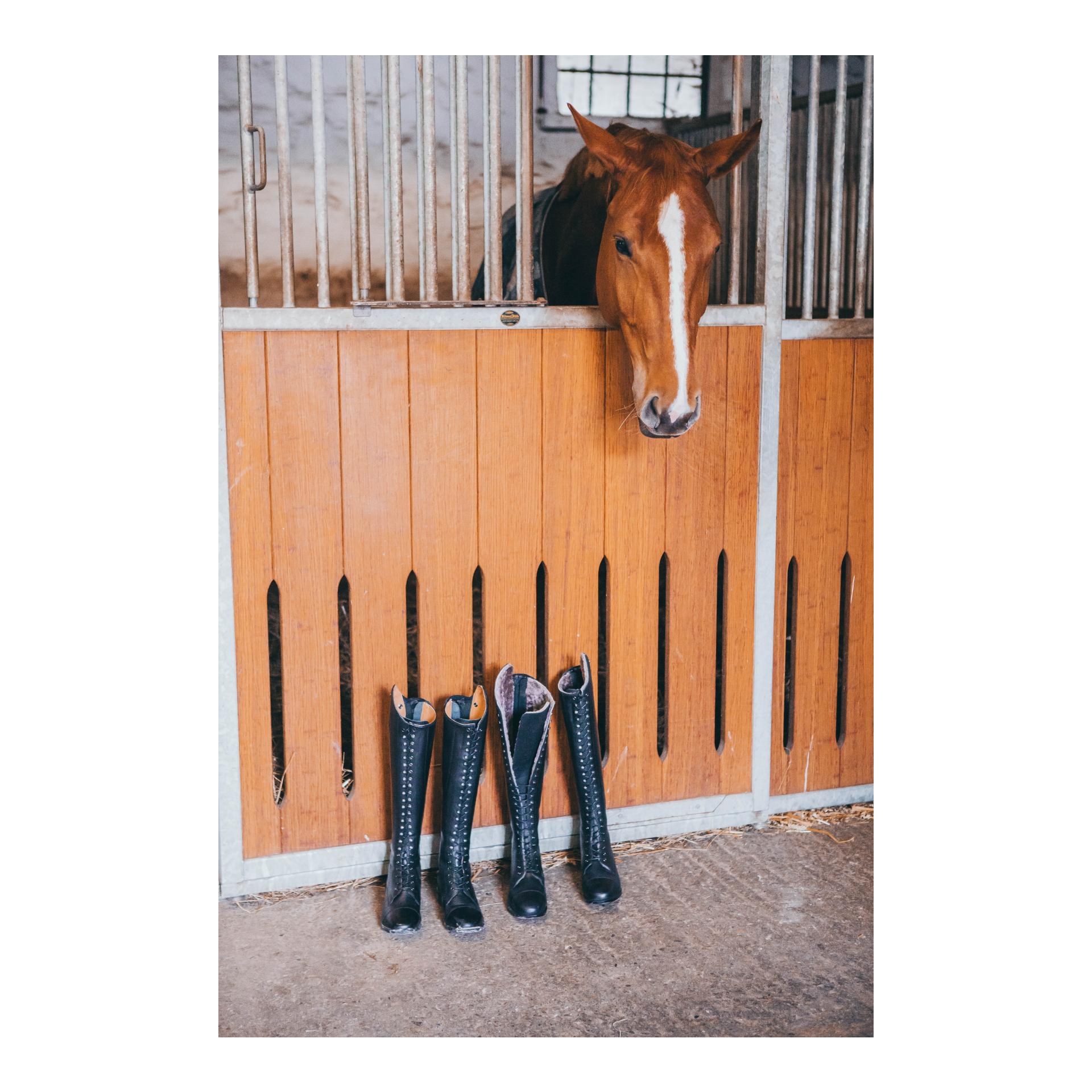Suedwind Footwear Bottes d'équitation Legacy Venado Merino - noir
