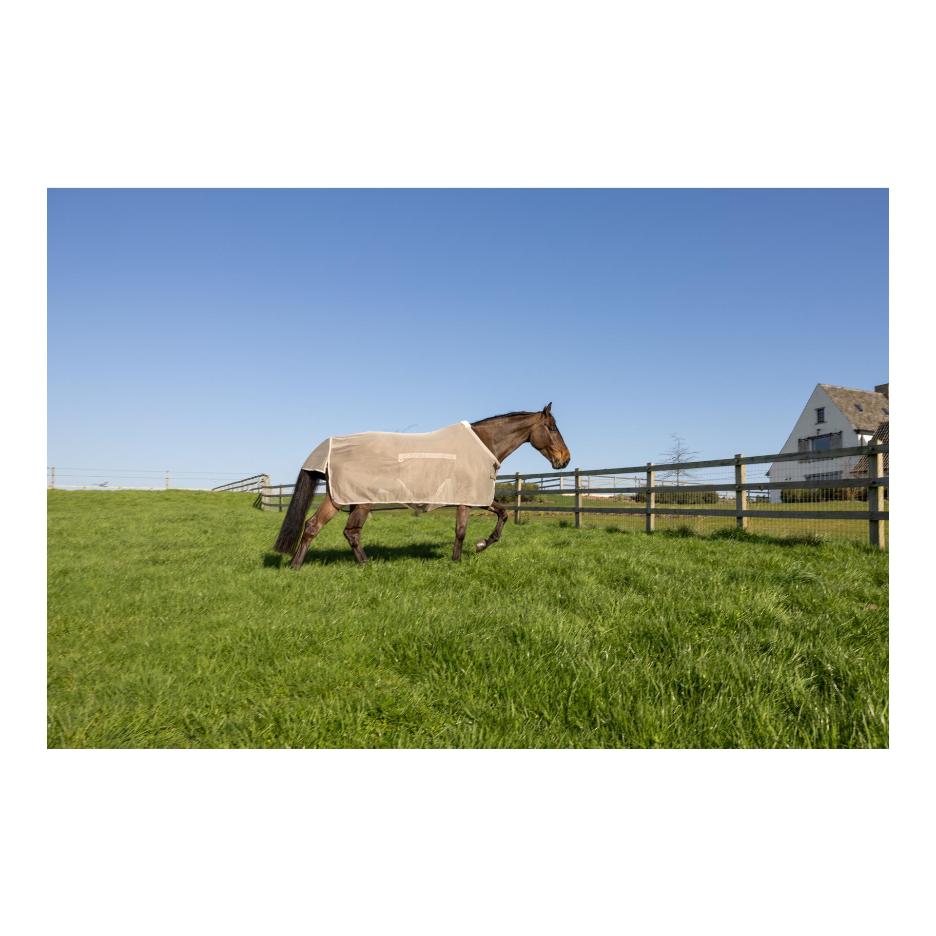 Kentucky Couverture anti-mouches avec protection ventrale Comfort